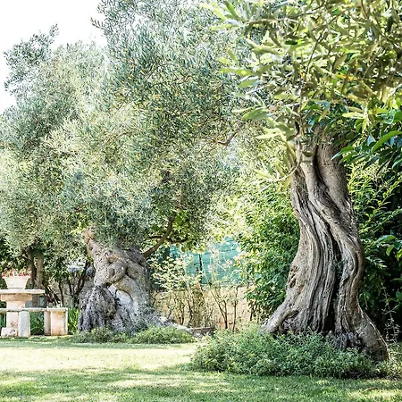 Astra Bed & Breakfast 4*