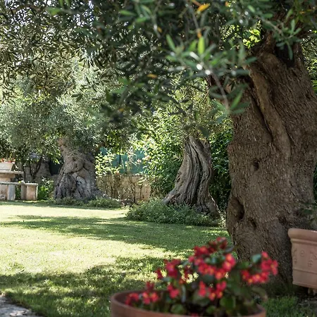 Bed & Breakfast Astra Alberobello