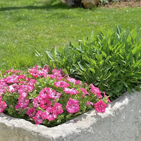 Astra Bed & Breakfast