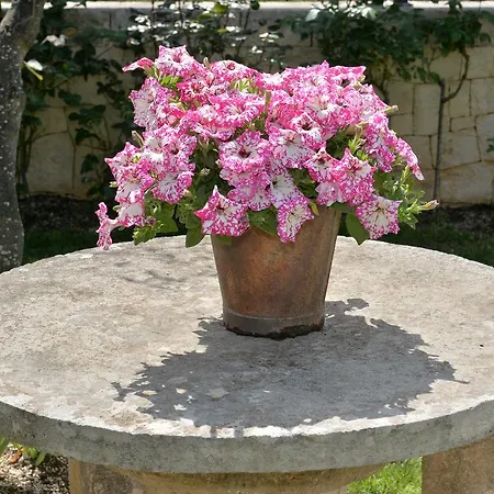 Astra Bed & Breakfast Alberobello