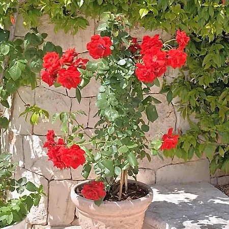 Astra 4* אלברובלו
