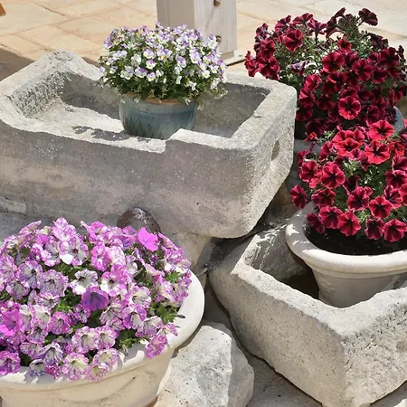Astra Alberobello