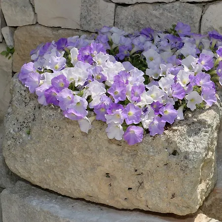 Astra Alberobello